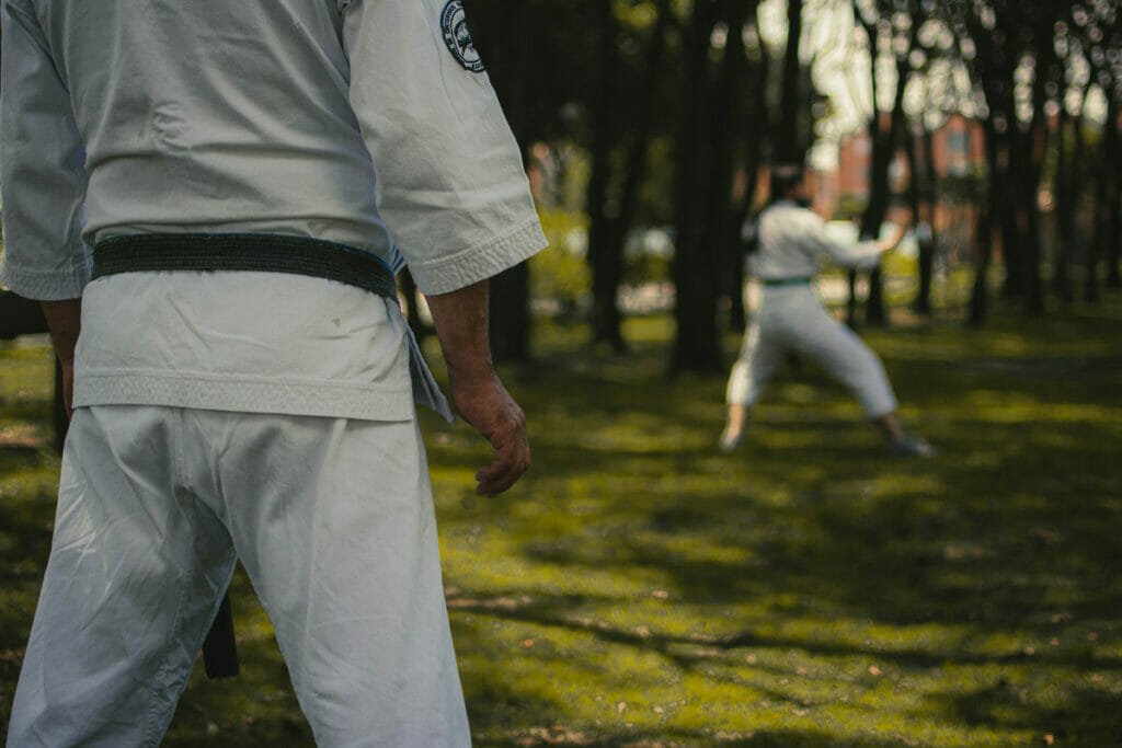 karate blocks