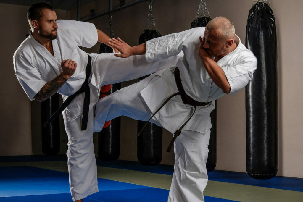 Is Karate Good for Self Defense